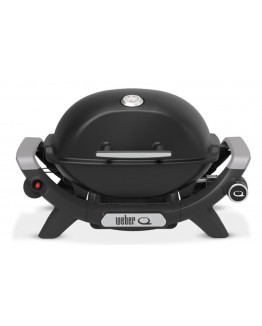 Barbacoa Weber Q 1100N